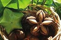 Inca inchi seed cultivated in Peru